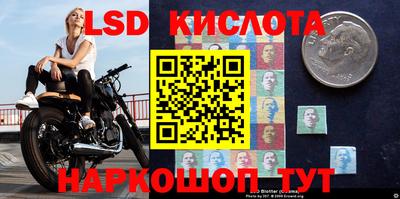 дмт Новодвинск