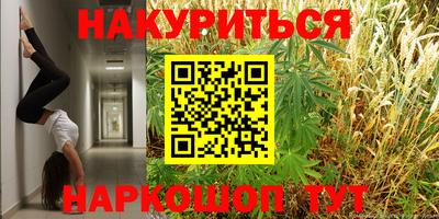дмт Новодвинск
