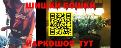 дмт Новодвинск