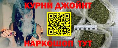 сатива Новозыбков