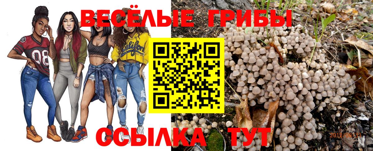 Галлюциногенные грибы ЛСД Россошь